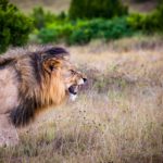 Anger, Human Emotional System, Dealing with Anger